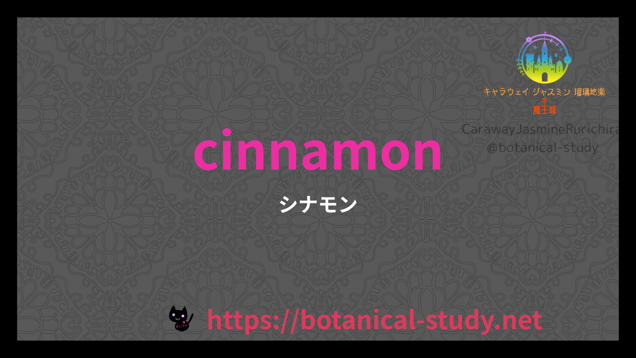 英語版シナモンの香りの性質辞典のアイキャッチ