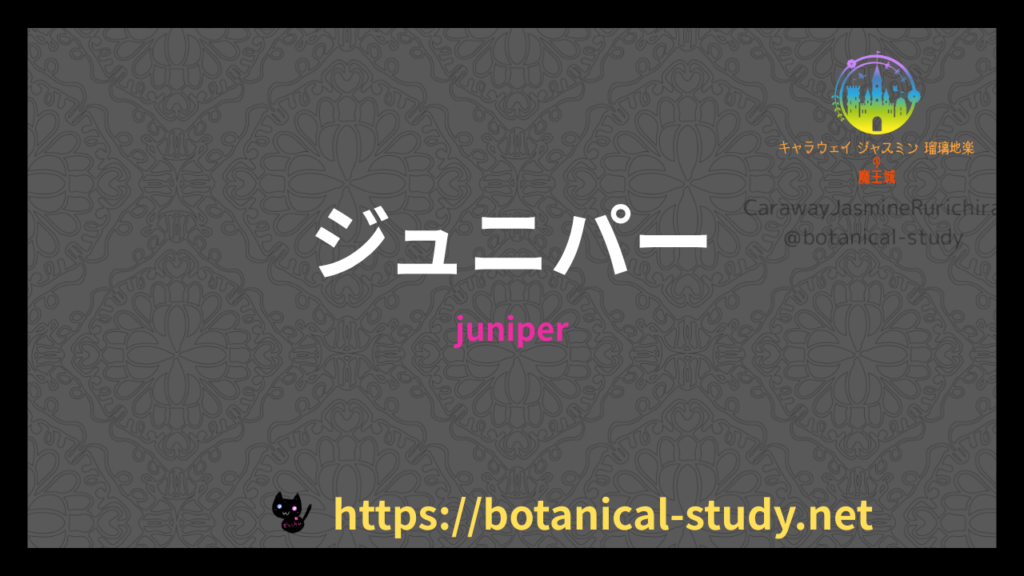 ジュニパーの香りの性質辞典のアイキャッチ
