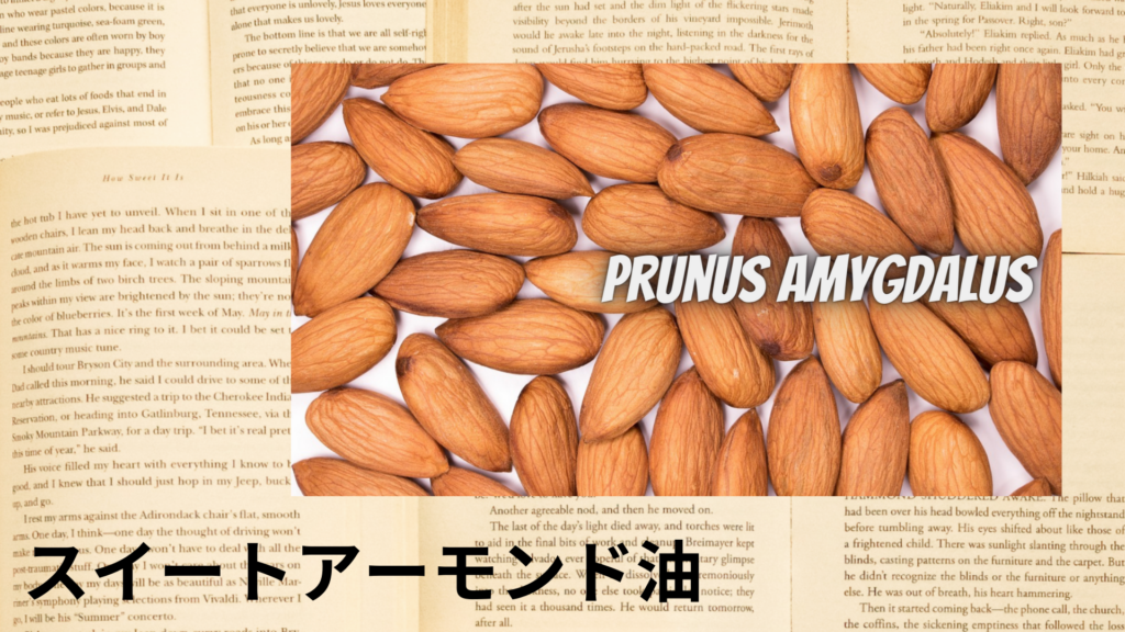 スイートアーモンド油の植物素材辞典のアイキャッチ