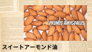 スイートアーモンド油の植物素材辞典のアイキャッチ
