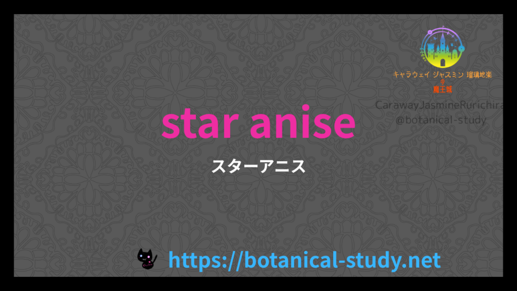 英語語スターアニス.の香りの性質辞典のアイキャッチ