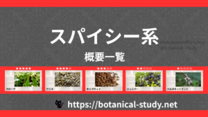スパイシー(香辛料系)｜8種の香りの系統・香調一覧のアイキャッチ画像