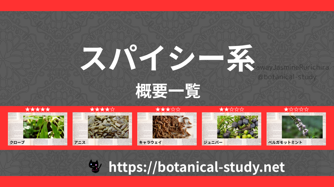 スパイシー(香辛料系)|8種の香りの系統・香調一覧のアイキャッチ画像