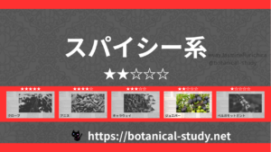 スパイシー(香辛料系) 内分類：香りの強さ２｜アロマ精油一覧のアイキャッチ画像