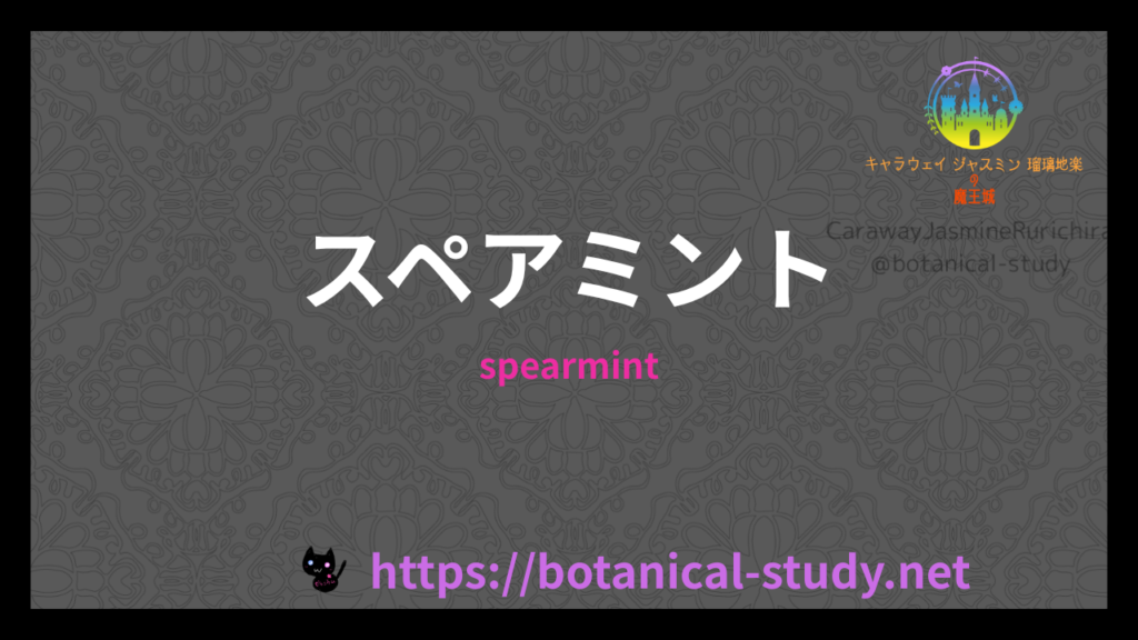 スペアミントの香りの性質辞典のアイキャッチ