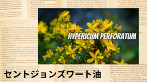 セントジョンズワート油の植物素材辞典のアイキャッチ
