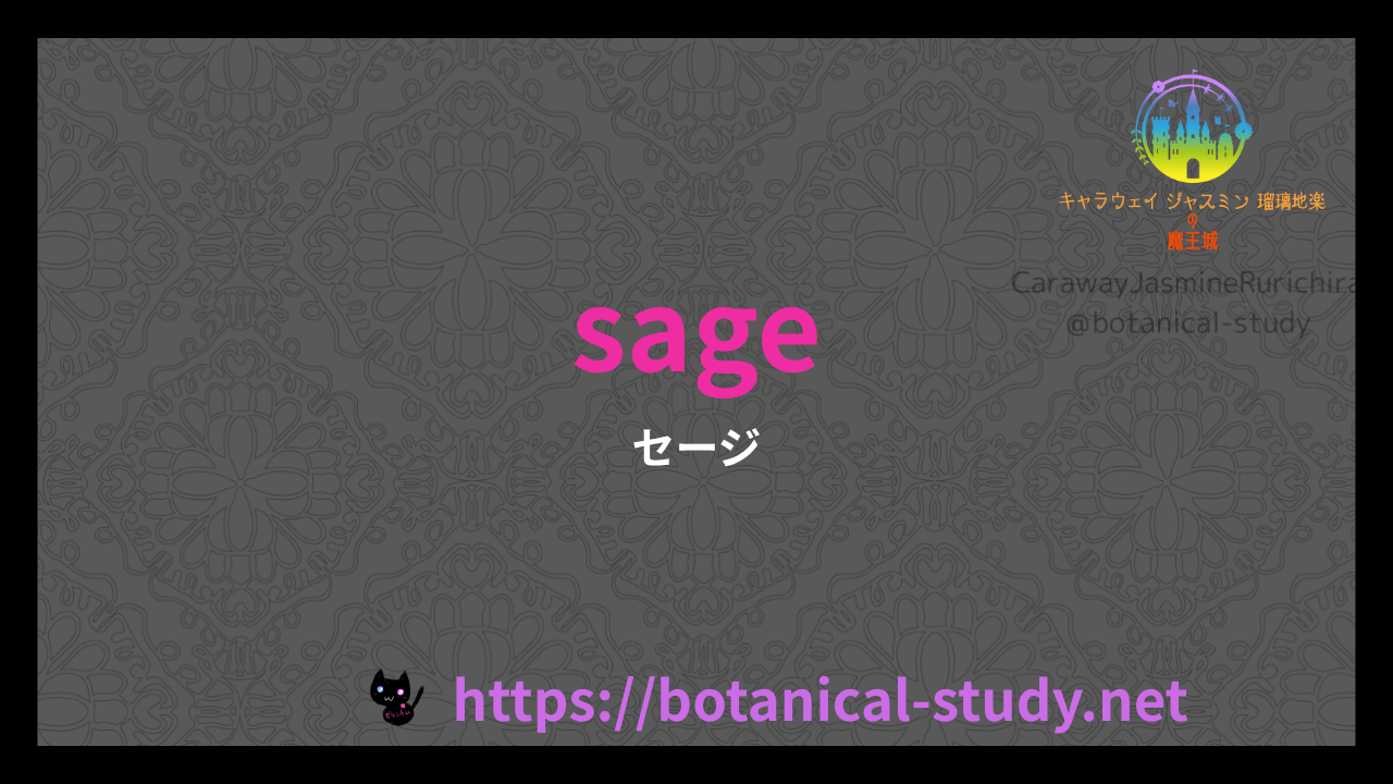 英語版セージのプチ辞典クイズのアイキャッチ