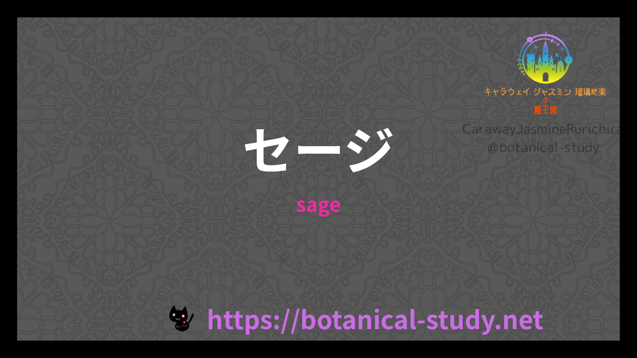 英語版セージのプチ辞典クイズのアイキャッチ