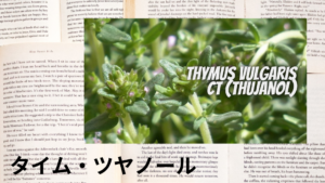 タイムツヤノールの植物素材辞典のアイキャッチ