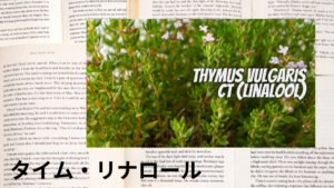 タイムリナロールの植物素材辞典のアイキャッチ