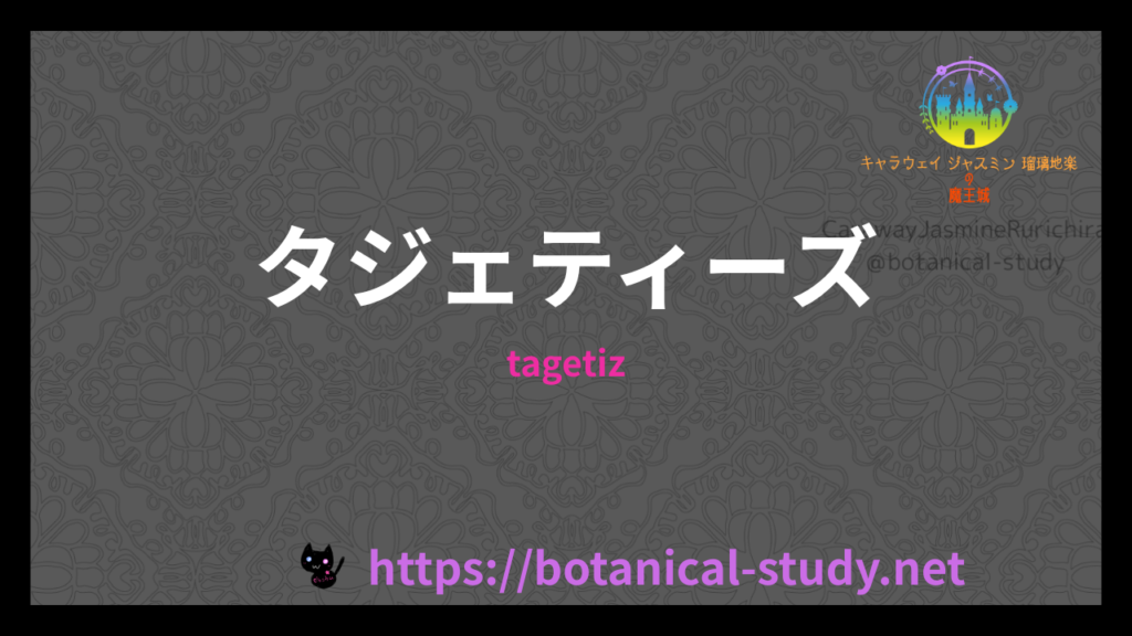 タジェティーズの香りの性質辞典のアイキャッチ