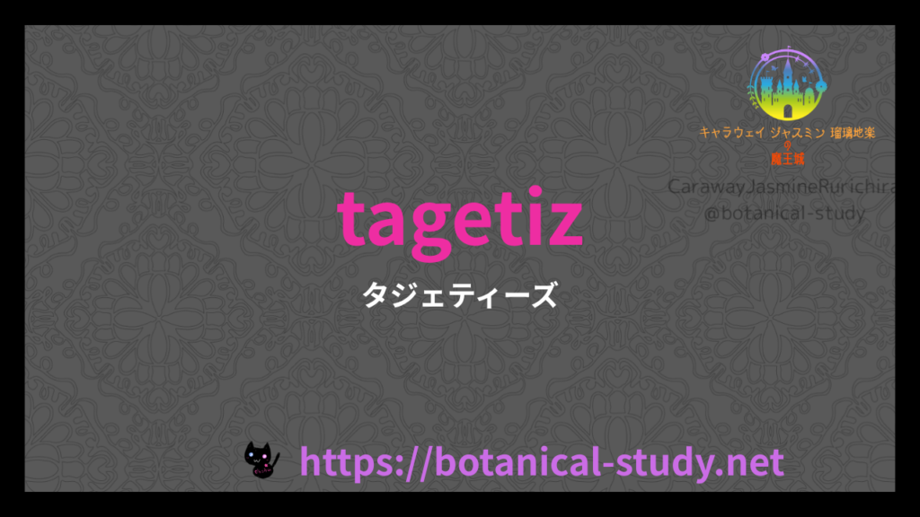 英語版タジェティーズの香りの性質辞典のアイキャッチ