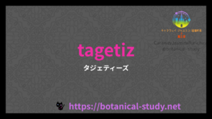 英語版タジェティーズの香りの性質辞典のアイキャッチ