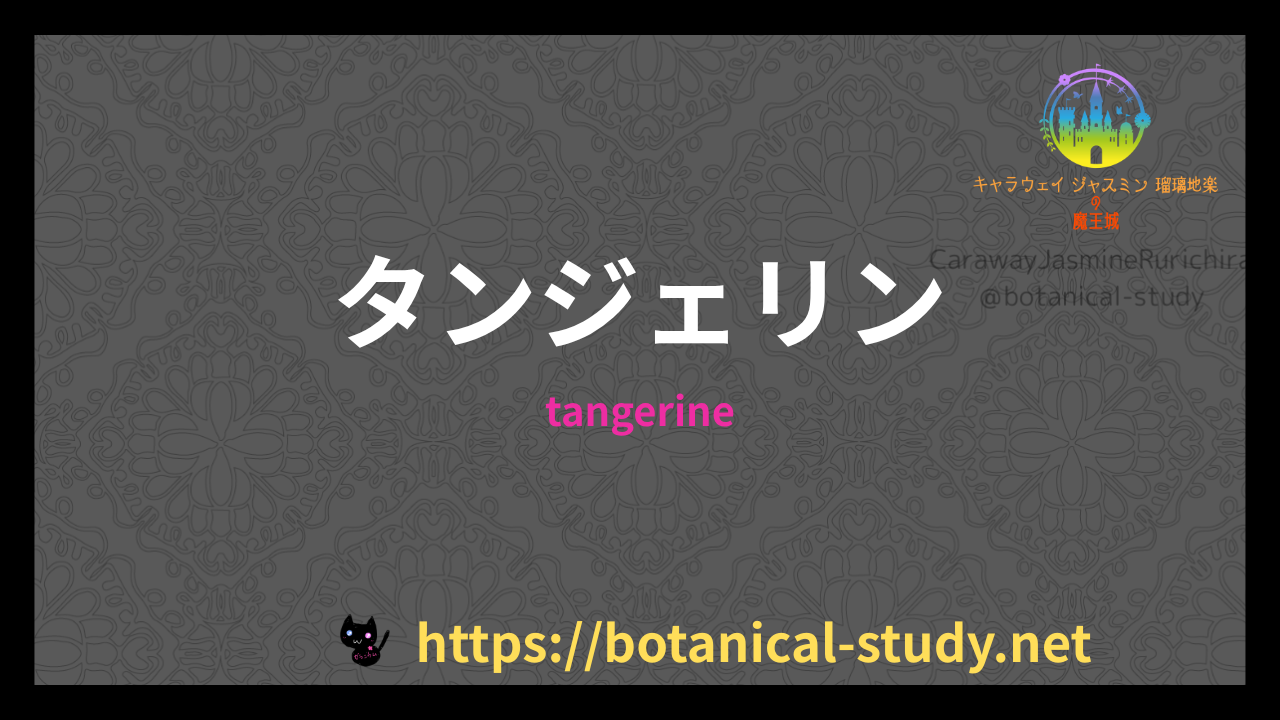 タンジェリンの香りの性質辞典のアイキャッチ