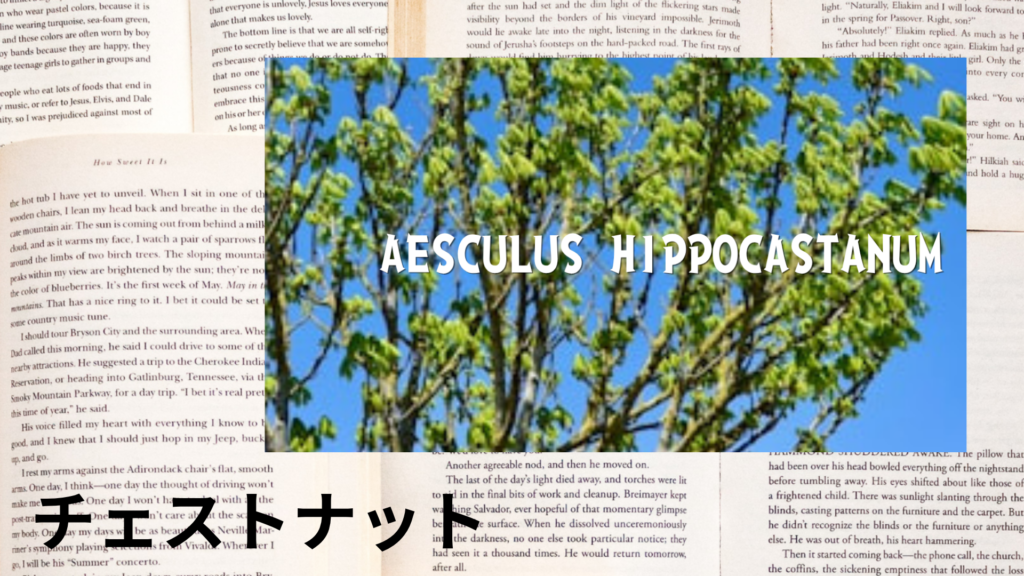 チェストナットの植物素材辞典のアイキャッチ