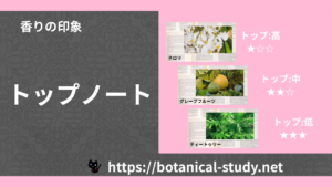 トップノート｜3種の香りの印象・ノート一覧のアイキャッチ画像