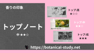 トップノート 内分類：中｜アロマ精油一覧のアイキャッチ画像