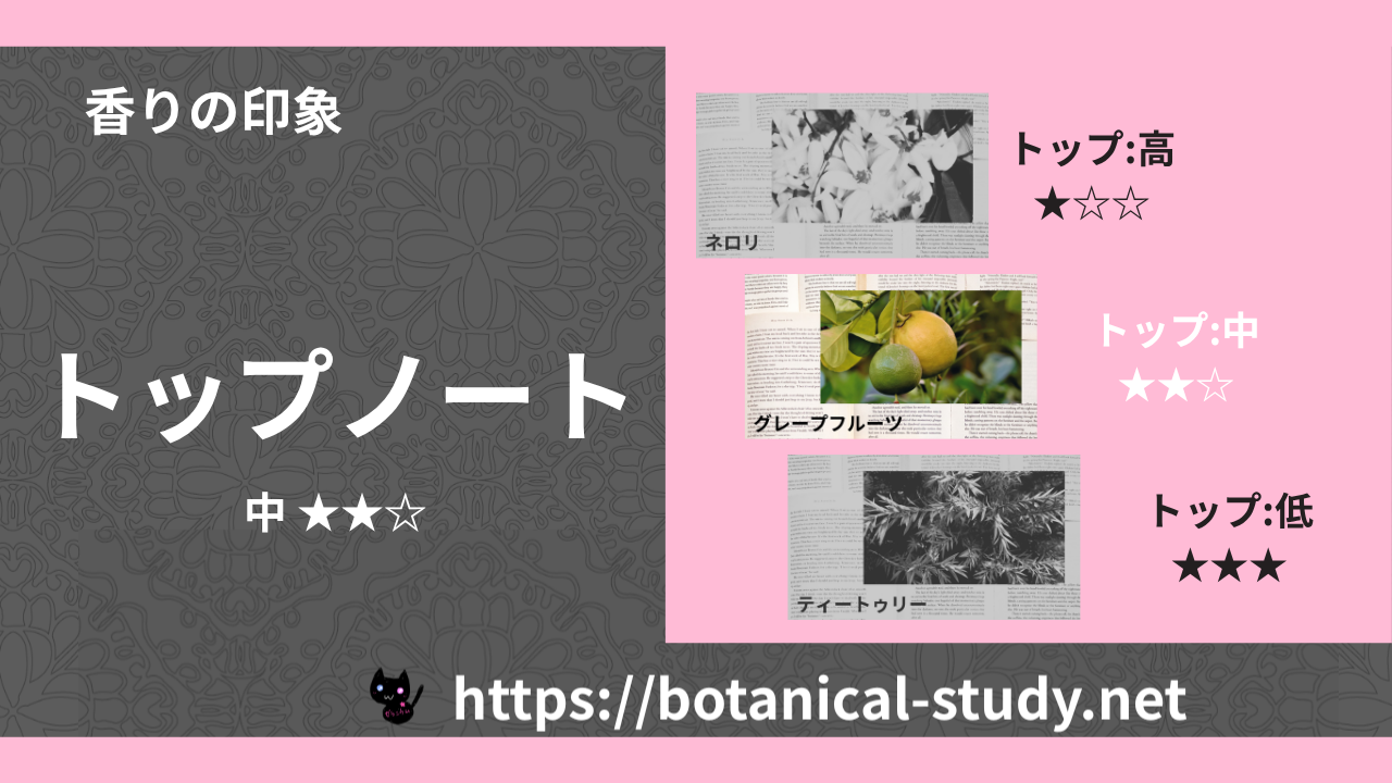 トップノート 内分類:中|アロマ精油一覧のアイキャッチ画像