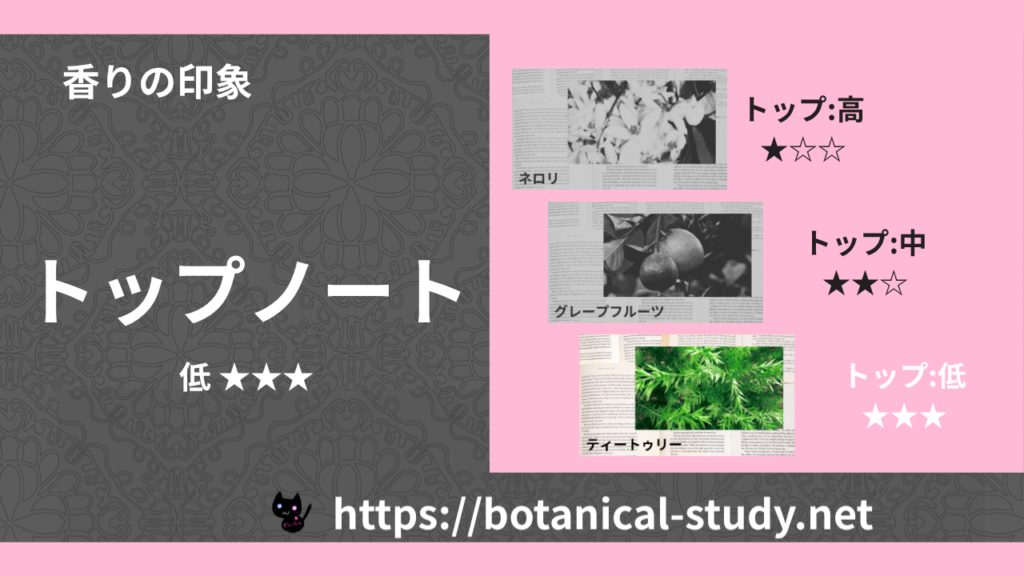 トップノート 内分類：低｜アロマ精油一覧のアイキャッチ画像