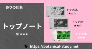トップノート 内分類：低｜アロマ精油一覧のアイキャッチ画像