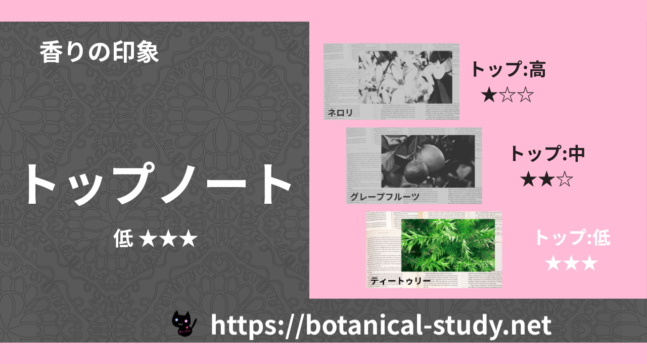 トップノート 内分類:低|アロマ精油一覧のアイキャッチ画像