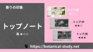 トップノート 内分類：高｜アロマ精油一覧のアイキャッチ画像