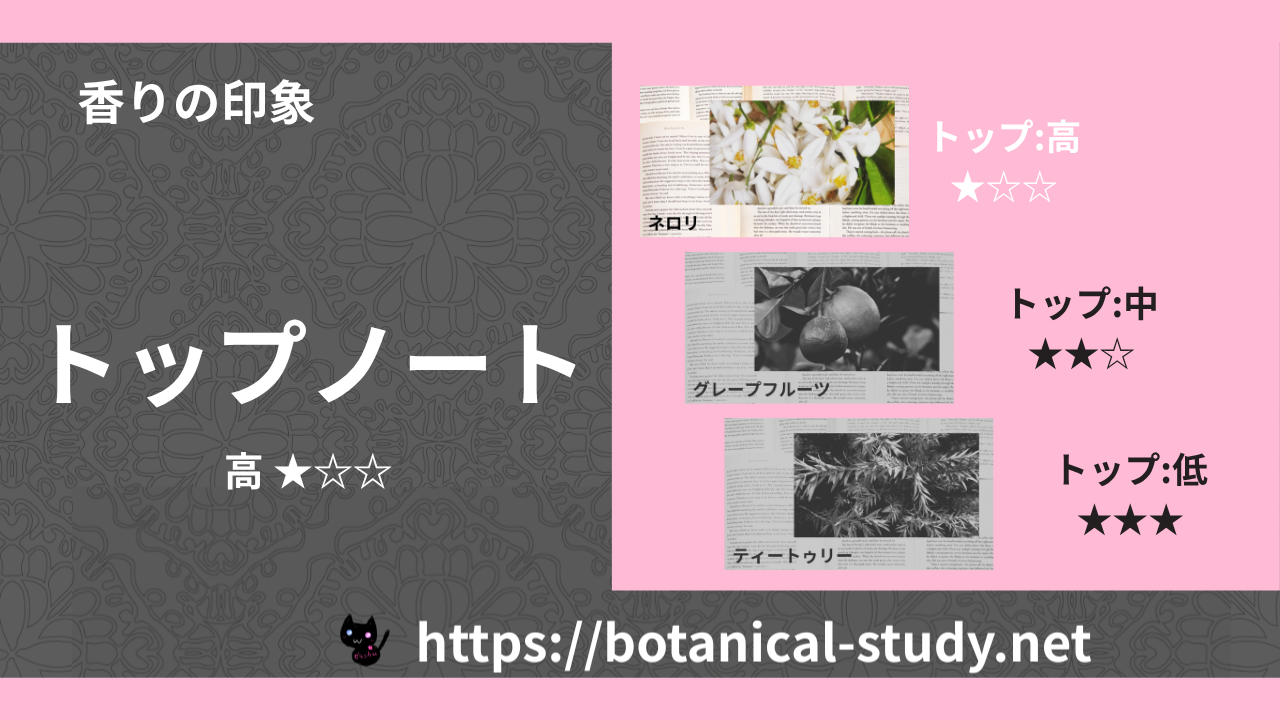 トップノート 内分類:高|アロマ精油一覧のアイキャッチ画像