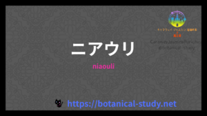 ニアウリの香りの性質辞典のアイキャッチ