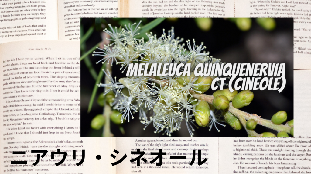 ニアウリシネオールの植物素材辞典のアイキャッチ