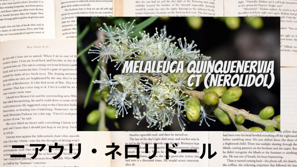ニアウリネロリドールの植物素材辞典のアイキャッチ