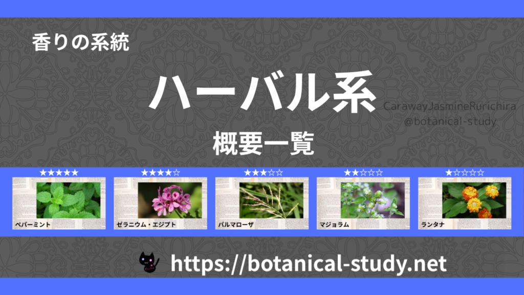 ハーバル(薬草系)|8種の香りの系統・香調一覧のアイキャッチ画像