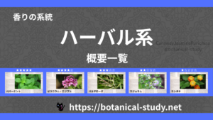 ハーバル(薬草系)｜8種の香りの系統・香調一覧のアイキャッチ画像