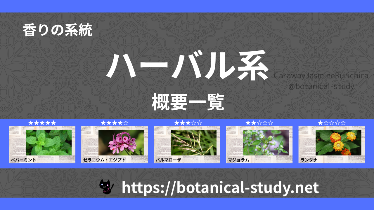 ハーバル(薬草系)｜8種の香りの系統・香調一覧のアイキャッチ画像