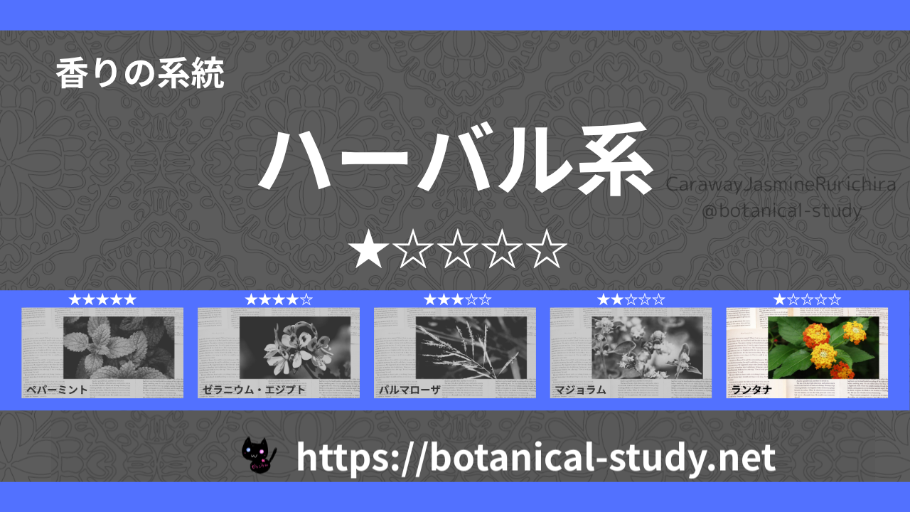 ハーバル(薬草系) 内分類：香りの強さ１｜アロマ精油一覧のアイキャッチ画像