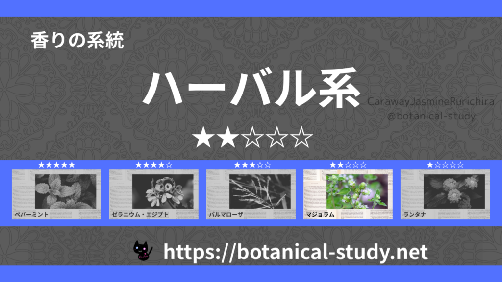ハーバル(薬草系) 内分類：香りの強さ２｜アロマ精油一覧のアイキャッチ画像