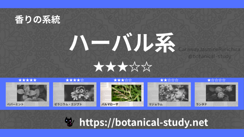 ハーバル(薬草系) 内分類：香りの強さ３｜アロマ精油一覧のアイキャッチ画像