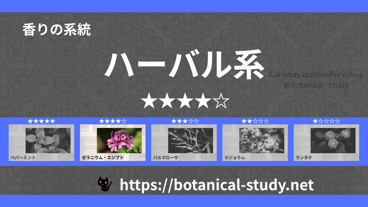 ハーバル(薬草系) 内分類：香りの強さ４｜アロマ精油一覧のアイキャッチ画像