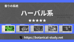 ハーバル(薬草系) 内分類：香りの強さ５｜アロマ精油一覧のアイキャッチ画像