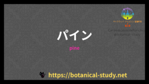 パインの香りの性質辞典のアイキャッチ