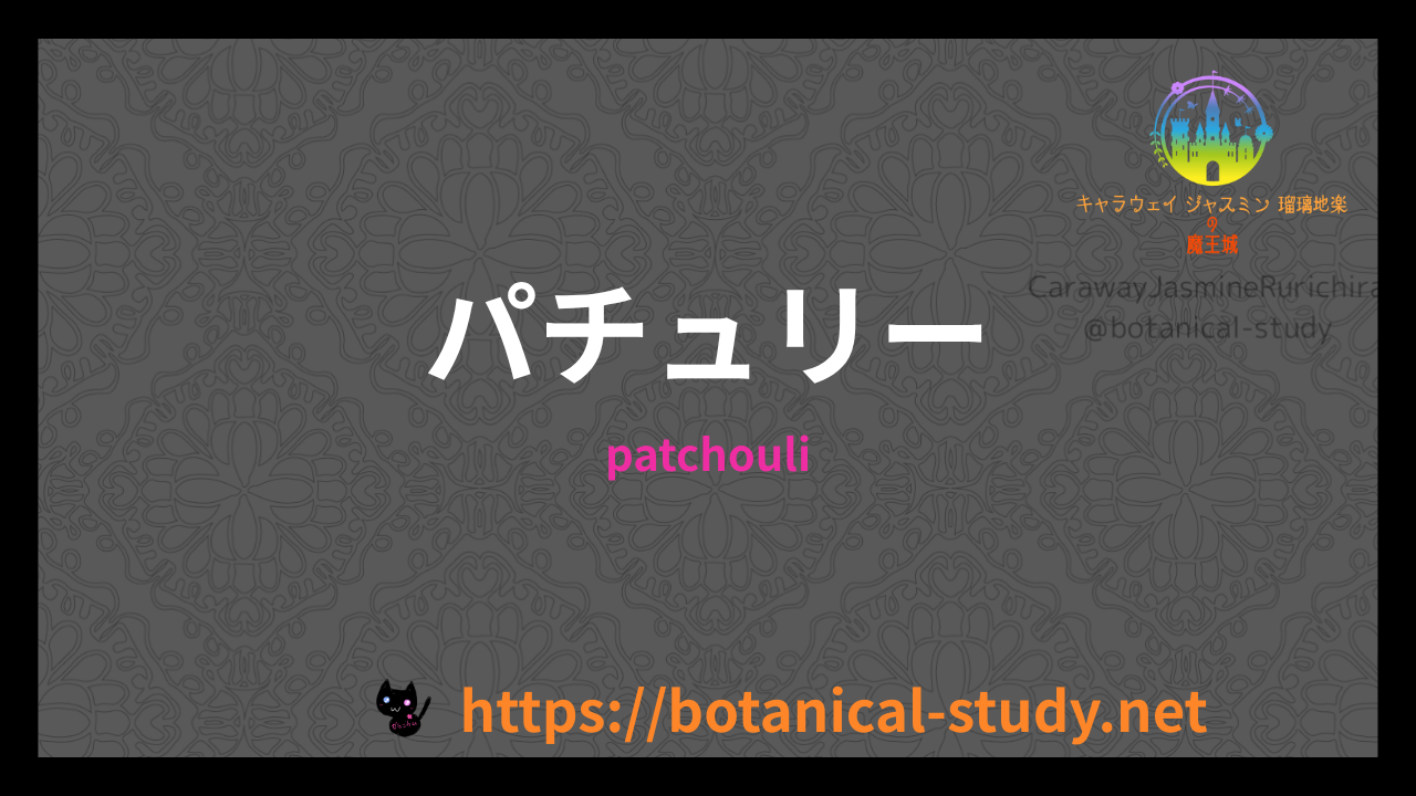 パチュリーの香りの性質辞典のアイキャッチ