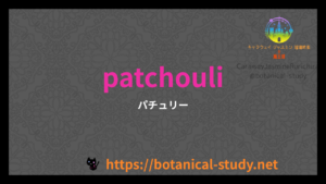 英語版パチュリーの香りの性質辞典のアイキャッチ