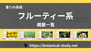 フルーティー(果物系)｜8種の香りの系統・香調一覧のアイキャッチ画像