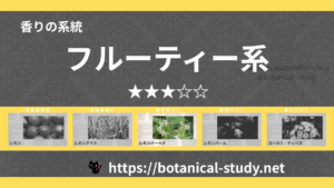 フルーティー(果物系) 内分類：香りの強さ３｜アロマ精油一覧のアイキャッチ画像
