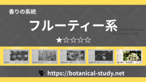 フルーティー(果物系) 内分類：香りの強さ１｜アロマ精油一覧のアイキャッチ画像