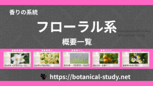 フローラル(花系)｜8種の香りの系統・香調一覧のアイキャッチ画像