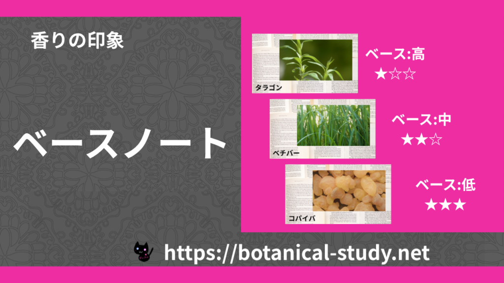 ベースノート|3種の香りの印象・ノート一覧のアイキャッチ画像