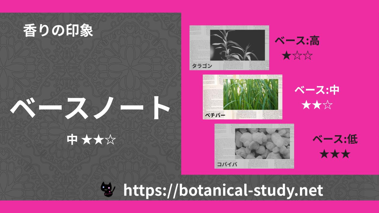 ベースノート 内分類:中|アロマ精油一覧のアイキャッチ画像