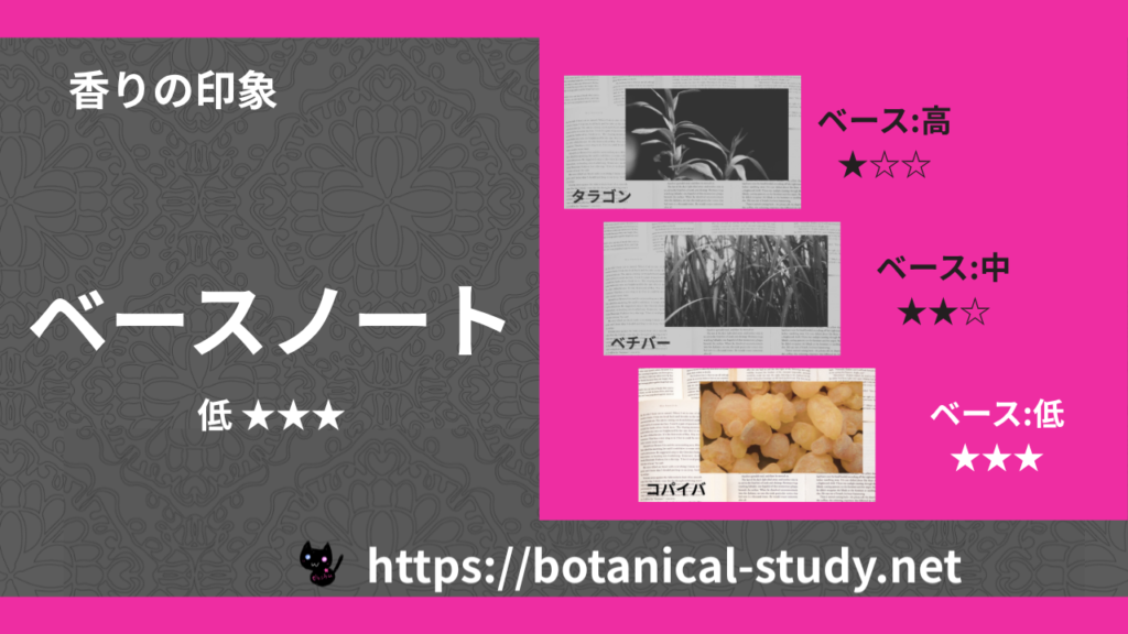 ベースノート 内分類：低｜アロマ精油一覧のアイキャッチ画像