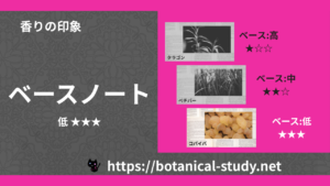 ベースノート 内分類：低｜アロマ精油一覧のアイキャッチ画像