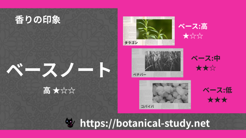 ベースノート 内分類：高｜アロマ精油一覧のアイキャッチ画像